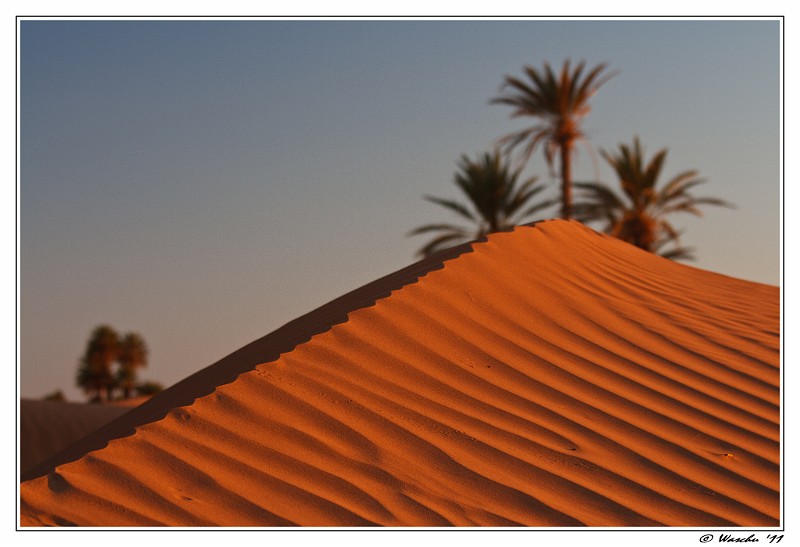 Saharan Sunset.jpg